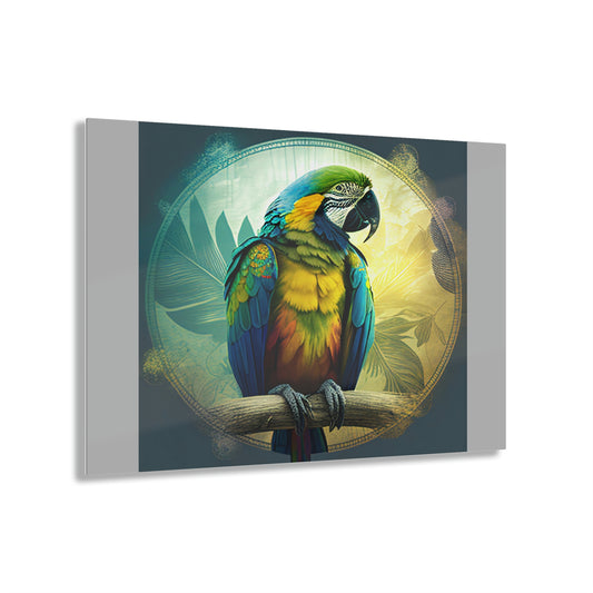 Meditating Macaw - Acrylic Prints